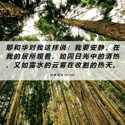 Picture 06 - 以 赛 亚 书 18:4 CUVS - 耶 和 华 对 我 这 样 说 ： 我 要 安 - Bible Verse Picture
