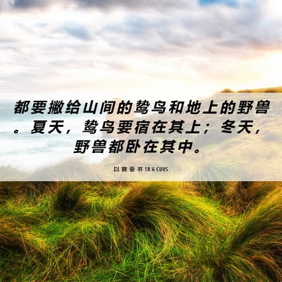 Picture 06 - 以 赛 亚 书 18:6 CUVS - 都 要 撇 给 山 间 的 鸷 鸟 和 地 上 - Bible Verse Picture