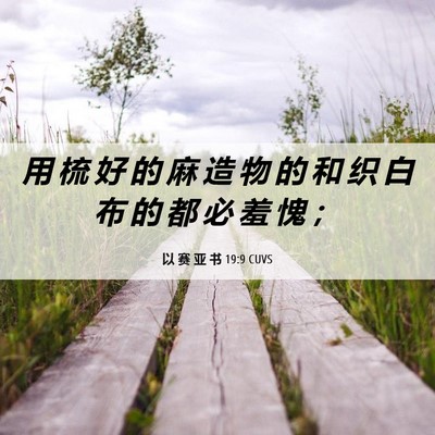Picture 06 - 以 赛 亚 书 19:9 CUVS - 用 梳 好 的 麻 造 物 的 和 织 白 布 - Bible Verse Picture