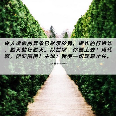 Picture 06 - 以 赛 亚 书 21:2 CUVS - 令 人 凄 惨 的 异 象 已 默 示 於 我 - Bible Verse Picture