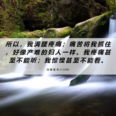Picture 06 - 以 赛 亚 书 21:3 CUVS - 所 以 ， 我 满 腰 疼 痛 ； 痛 苦 将 - Bible Verse Picture