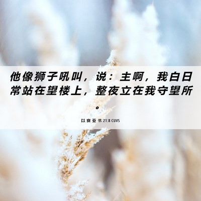 Picture 06 - 以 赛 亚 书 21:8 CUVS - 他 像 狮 子 吼 叫 ， 说 ： 主 啊 ， - Bible Verse Picture