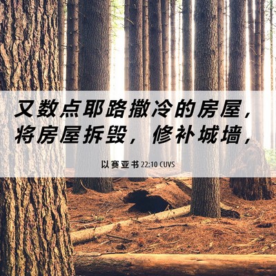Picture 06 - 以 赛 亚 书 22:10 CUVS - 又 数 点 耶 路 撒 冷 的 房 屋 ， 将 - Bible Verse Picture