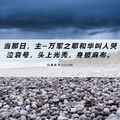 Picture 06 - 以 赛 亚 书 22:12 CUVS - 当 那 日 ， 主 ─ 万 军 之 耶 和 华 - Bible Verse Picture