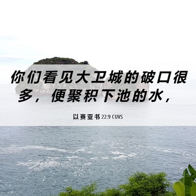 Picture 06 - 以 赛 亚 书 22:9 CUVS - 你 们 看 见 大 卫 城 的 破 口 很 多 - Bible Verse Picture