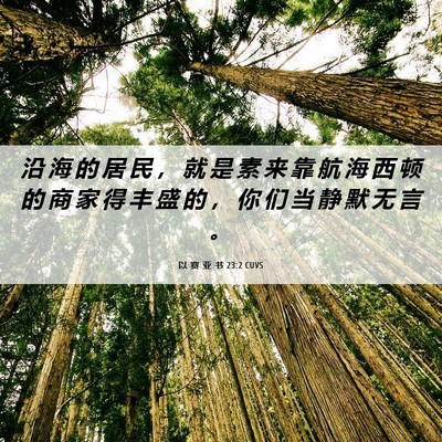 Picture 06 - 以 赛 亚 书 23:2 CUVS - 沿 海 的 居 民 ， 就 是 素 来 靠 航 - Bible Verse Picture