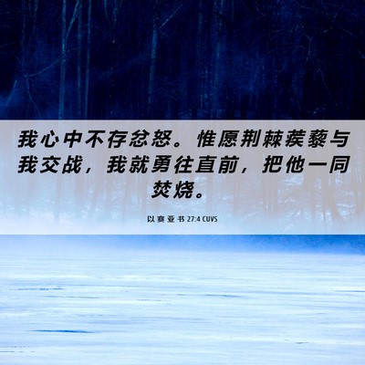 Picture 06 - 以 赛 亚 书 27:4 CUVS - 我 心 中 不 存 忿 怒 。 惟 愿 荆 棘 - Bible Verse Picture