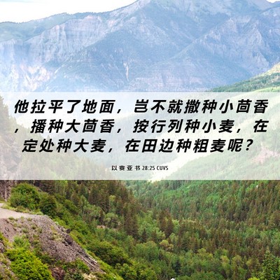 Picture 06 - 以 赛 亚 书 28:25 CUVS - 他 拉 平 了 地 面 ， 岂 不 就 撒 种 - Bible Verse Picture