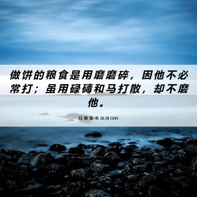 Picture 06 - 以 赛 亚 书 28:28 CUVS - 做 饼 的 粮 食 是 用 磨 磨 碎 ， 因 - Bible Verse Picture