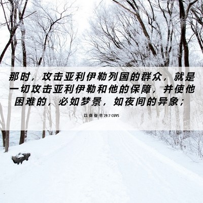 Picture 06 - 以 赛 亚 书 29:7 CUVS - 那 时 ， 攻 击 亚 利 伊 勒 列 国 的 - Bible Verse Picture