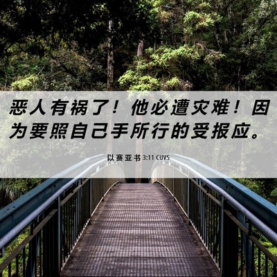 Picture 06 - 以 赛 亚 书 3:11 CUVS - 恶 人 有 祸 了 ！ 他 必 遭 灾 难 ！ - Bible Verse Picture