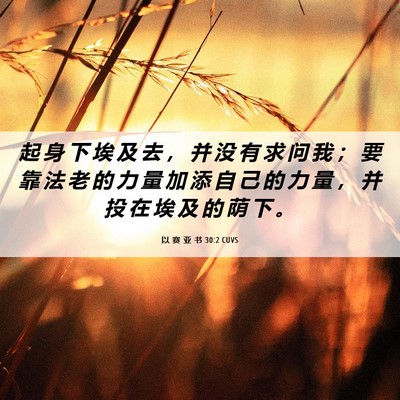 Picture 06 - 以 赛 亚 书 30:2 CUVS - 起 身 下 埃 及 去 ， 并 没 有 求 问 - Bible Verse Picture