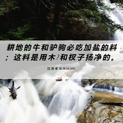 Picture 06 - 以 赛 亚 书 30:24 CUVS - 耕 地 的 牛 和 驴 驹 必 吃 加 盐 的 - Bible Verse Picture