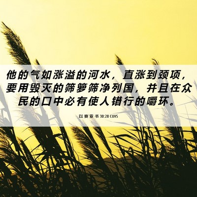 Picture 06 - 以 赛 亚 书 30:28 CUVS - 他 的 气 如 涨 溢 的 河 水 ， 直 涨 - Bible Verse Picture
