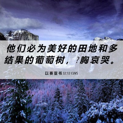 Picture 06 - 以 赛 亚 书 32:12 CUVS - 他 们 必 为 美 好 的 田 地 和 多 结 - Bible Verse Picture