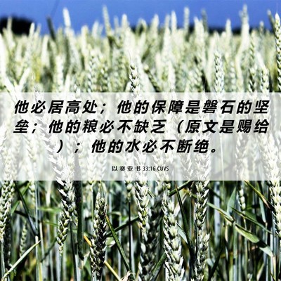 Picture 06 - 以 赛 亚 书 33:16 CUVS - 他 必 居 高 处 ； 他 的 保 障 是 磐 - Bible Verse Picture