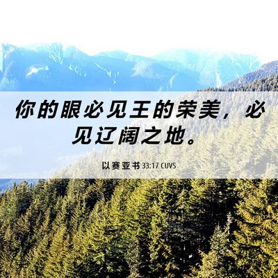 Picture 06 - 以 赛 亚 书 33:17 CUVS - 你 的 眼 必 见 王 的 荣 美 ， 必 见 - Bible Verse Picture