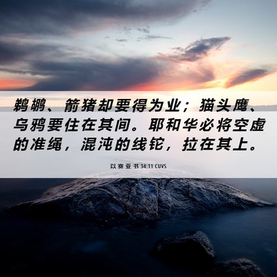 Picture 06 - 以 赛 亚 书 34:11 CUVS - 鹈 鹕 、 箭 猪 却 要 得 为 业 ； 猫 - Bible Verse Picture