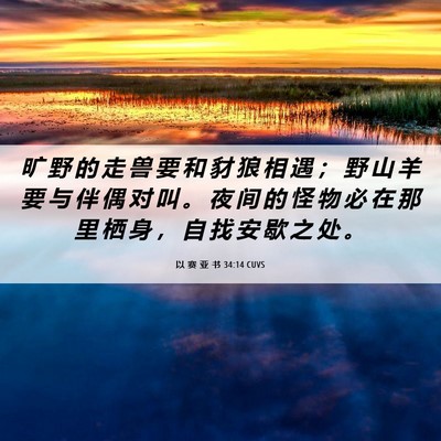 Picture 06 - 以 赛 亚 书 34:14 CUVS - 旷 野 的 走 兽 要 和 豺 狼 相 遇 ； - Bible Verse Picture