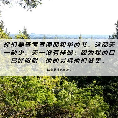 Picture 06 - 以 赛 亚 书 34:16 CUVS - 你 们 要 查 考 宣 读 耶 和 华 的 书 - Bible Verse Picture