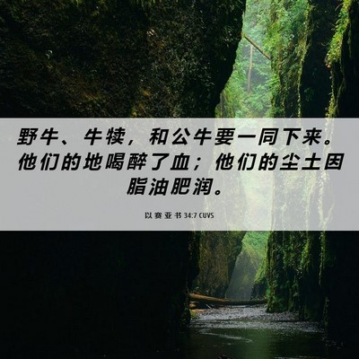 Picture 06 - 以 赛 亚 书 34:7 CUVS - 野 牛 、 牛 犊 ， 和 公 牛 要 一 同 - Bible Verse Picture