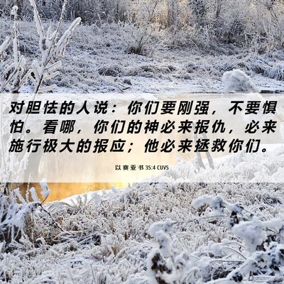 Picture 06 - 以 赛 亚 书 35:4 CUVS - 对 胆 怯 的 人 说 ： 你 们 要 刚 强 - Bible Verse Picture