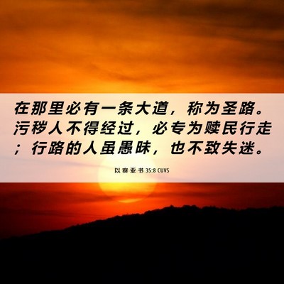 Picture 06 - 以 赛 亚 书 35:8 CUVS - 在 那 里 必 有 一 条 大 道 ， 称 为 - Bible Verse Picture