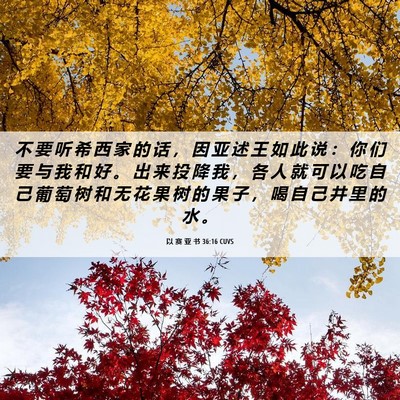 Picture 06 - 以 赛 亚 书 36:16 CUVS - 不 要 听 希 西 家 的 话 ， 因 亚 述 - Bible Verse Picture