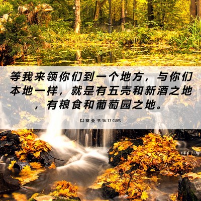 Picture 06 - 以 赛 亚 书 36:17 CUVS - 等 我 来 领 你 们 到 一 个 地 方 ， - Bible Verse Picture