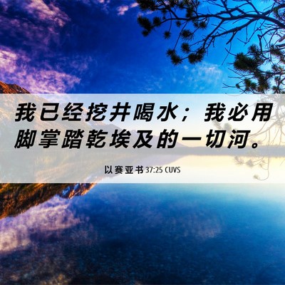 Picture 06 - 以 赛 亚 书 37:25 CUVS - 我 已 经 挖 井 喝 水 ； 我 必 用 脚 - Bible Verse Picture