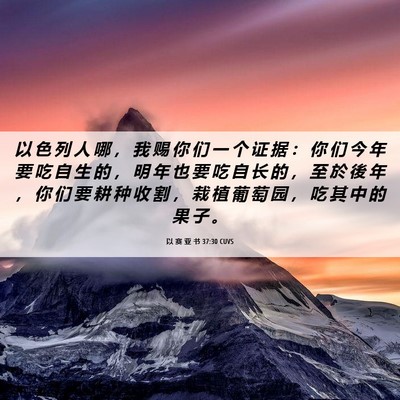 Picture 06 - 以 赛 亚 书 37:30 CUVS - 以 色 列 人 哪 ， 我 赐 你 们 一 个 - Bible Verse Picture