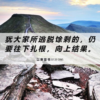 Picture 06 - 以 赛 亚 书 37:31 CUVS - 犹 大 家 所 逃 脱 馀 剩 的 ， 仍 要 - Bible Verse Picture