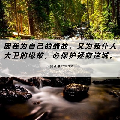 Picture 06 - 以 赛 亚 书 37:35 CUVS - 因 我 为 自 己 的 缘 故 ， 又 为 我 - Bible Verse Picture