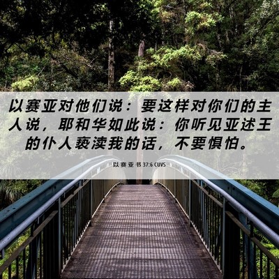 Picture 06 - 以 赛 亚 书 37:6 CUVS - 以 赛 亚 对 他 们 说 ： 要 这 样 对 - Bible Verse Picture