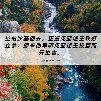Picture 06 - 以 赛 亚 书 37:8 CUVS - 拉 伯 沙 基 回 去 ， 正 遇 见 亚 述 - Bible Verse Picture