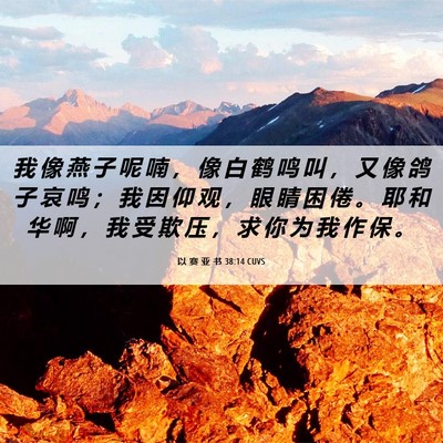 Picture 06 - 以 赛 亚 书 38:14 CUVS - 我 像 燕 子 呢 喃 ， 像 白 鹤 鸣 叫 - Bible Verse Picture