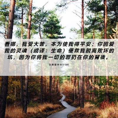 Picture 06 - 以 赛 亚 书 38:17 CUVS - 看 哪 ， 我 受 大 苦 ， 本 为 使 我 - Bible Verse Picture