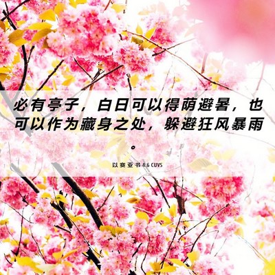 Picture 06 - 以 赛 亚 书 4:6 CUVS - 必 有 亭 子 ， 白 日 可 以 得 荫 避 - Bible Verse Picture