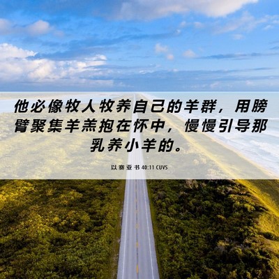 Picture 06 - 以 赛 亚 书 40:11 CUVS - 他 必 像 牧 人 牧 养 自 己 的 羊 群 - Bible Verse Picture