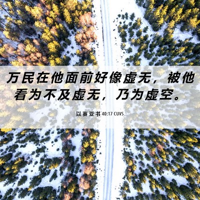 Picture 06 - 以 赛 亚 书 40:17 CUVS - 万 民 在 他 面 前 好 像 虚 无 ， 被 - Bible Verse Picture