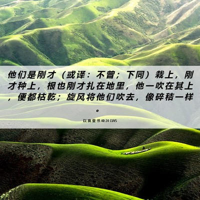 Picture 06 - 以 赛 亚 书 40:24 CUVS - 他 们 是 刚 才 （ 或 译 ： 不 曾 ； - Bible Verse Picture