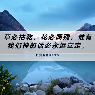 Picture 06 - 以 赛 亚 书 40:8 CUVS - 草 必 枯 乾 ， 花 必 凋 残 ， 惟 有 - Bible Verse Picture