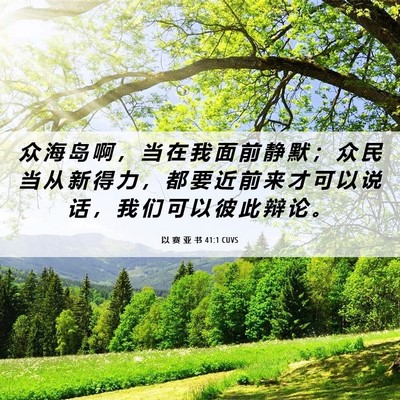 Picture 06 - 以 赛 亚 书 41:1 CUVS - 众 海 岛 啊 ， 当 在 我 面 前 静 默 - Bible Verse Picture