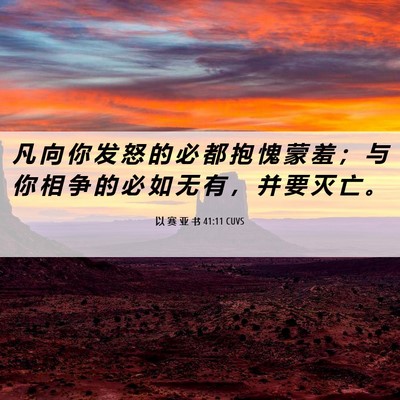 Picture 06 - 以 赛 亚 书 41:11 CUVS - 凡 向 你 发 怒 的 必 都 抱 愧 蒙 羞 - Bible Verse Picture