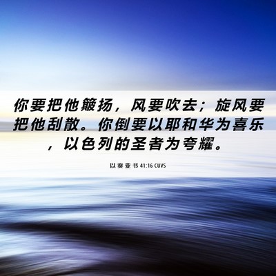 Picture 06 - 以 赛 亚 书 41:16 CUVS - 你 要 把 他 簸 扬 ， 风 要 吹 去 ； - Bible Verse Picture