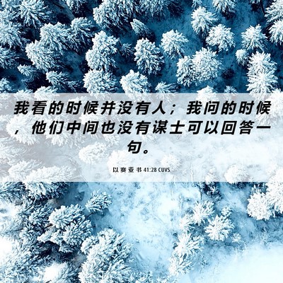 Picture 06 - 以 赛 亚 书 41:28 CUVS - 我 看 的 时 候 并 没 有 人 ； 我 问 - Bible Verse Picture