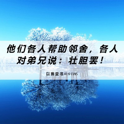 Picture 06 - 以 赛 亚 书 41:6 CUVS - 他 们 各 人 帮 助 邻 舍 ， 各 人 对 - Bible Verse Picture