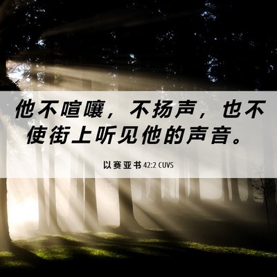Picture 06 - 以 赛 亚 书 42:2 CUVS - 他 不 喧 嚷 ， 不 扬 声 ， 也 不 使 - Bible Verse Picture