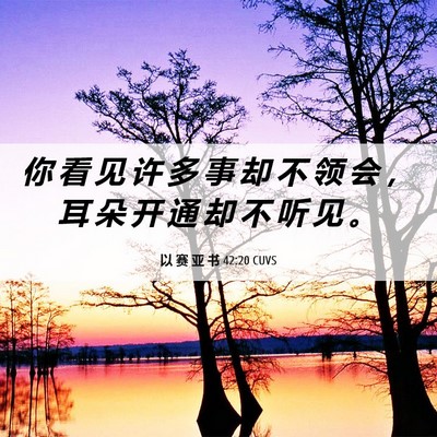 Picture 06 - 以 赛 亚 书 42:20 CUVS - 你 看 见 许 多 事 却 不 领 会 ， 耳 - Bible Verse Picture