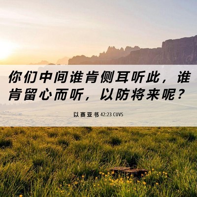 Picture 06 - 以 赛 亚 书 42:23 CUVS - 你 们 中 间 谁 肯 侧 耳 听 此 ， 谁 - Bible Verse Picture